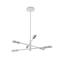 19'' Concorde 6 Light Satin Brass and Matte White Chandelier