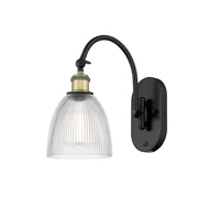 Ballston Swing Arm Steel Cast Brass