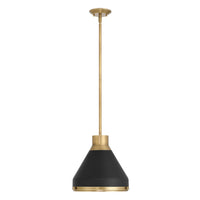 Doyle 13-inch 1-light Natural Brass Pendant Light with Matte Black Metal Shade