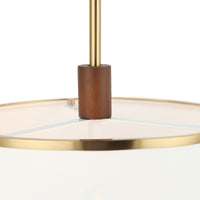 Desert Flyer 3 Light Convertible Pendant/Semi-Flush