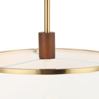 Desert Flyer 3 Light Convertible Pendant/Semi-Flush