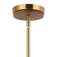 Desert Flyer 3 Light Convertible Pendant/Semi-Flush