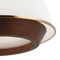 Desert Flyer 6 Light Pendant