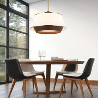 Desert Flyer 6 Light Pendant