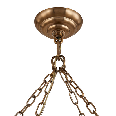 14'' Camellia 10 Light Winter Brass Chandelier