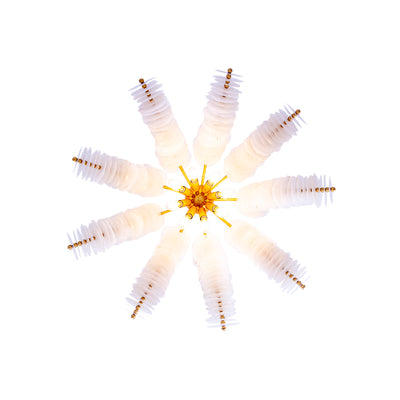 27'' Gossamer 12 Light Oxidized Gold Leaf Chandelier