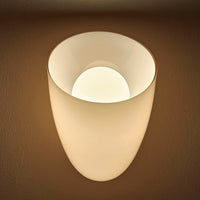 8'' Cocoon 1 Light Winter Brass Wall Sconce