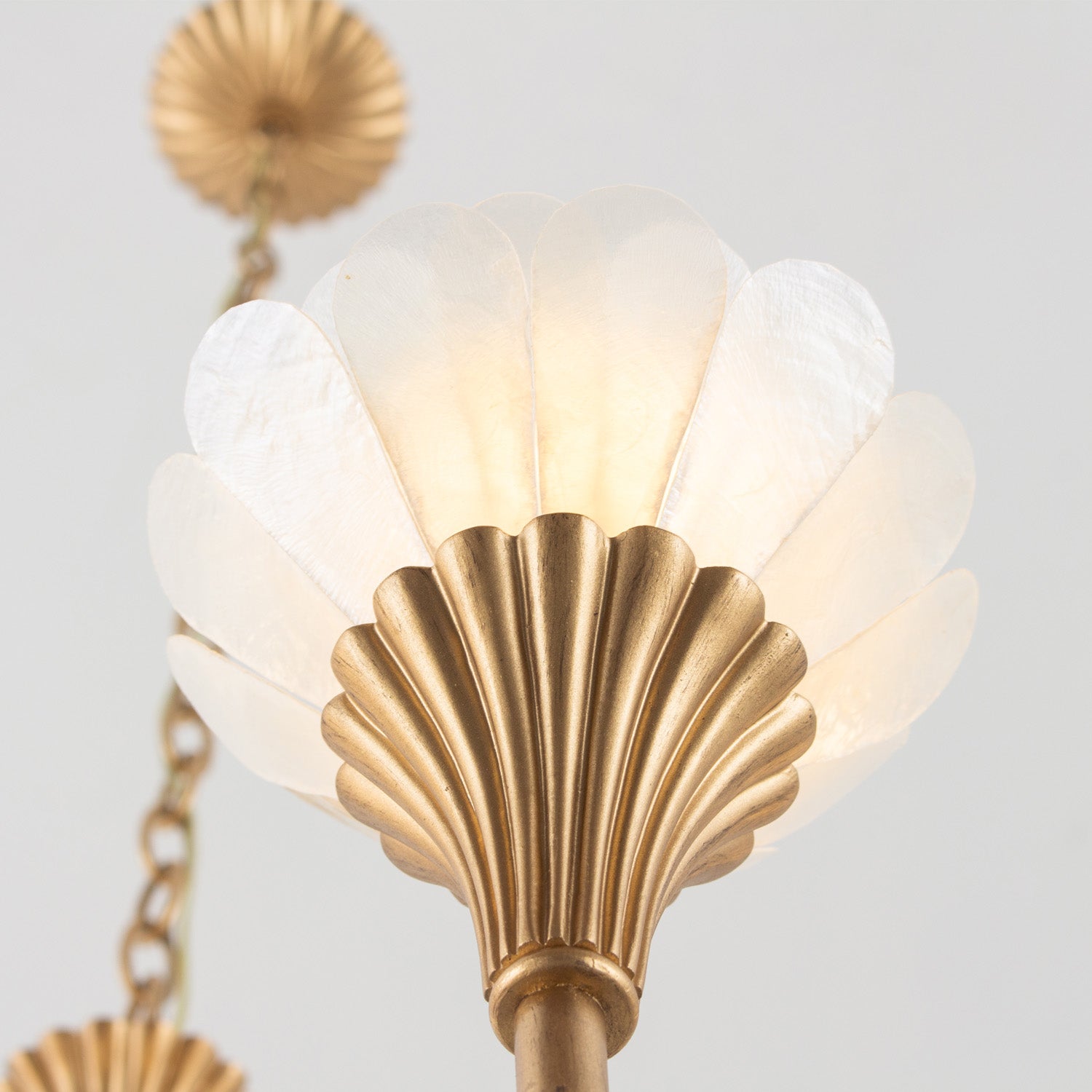 23.75'' Flora 8 Light Modern Gold Chandelier