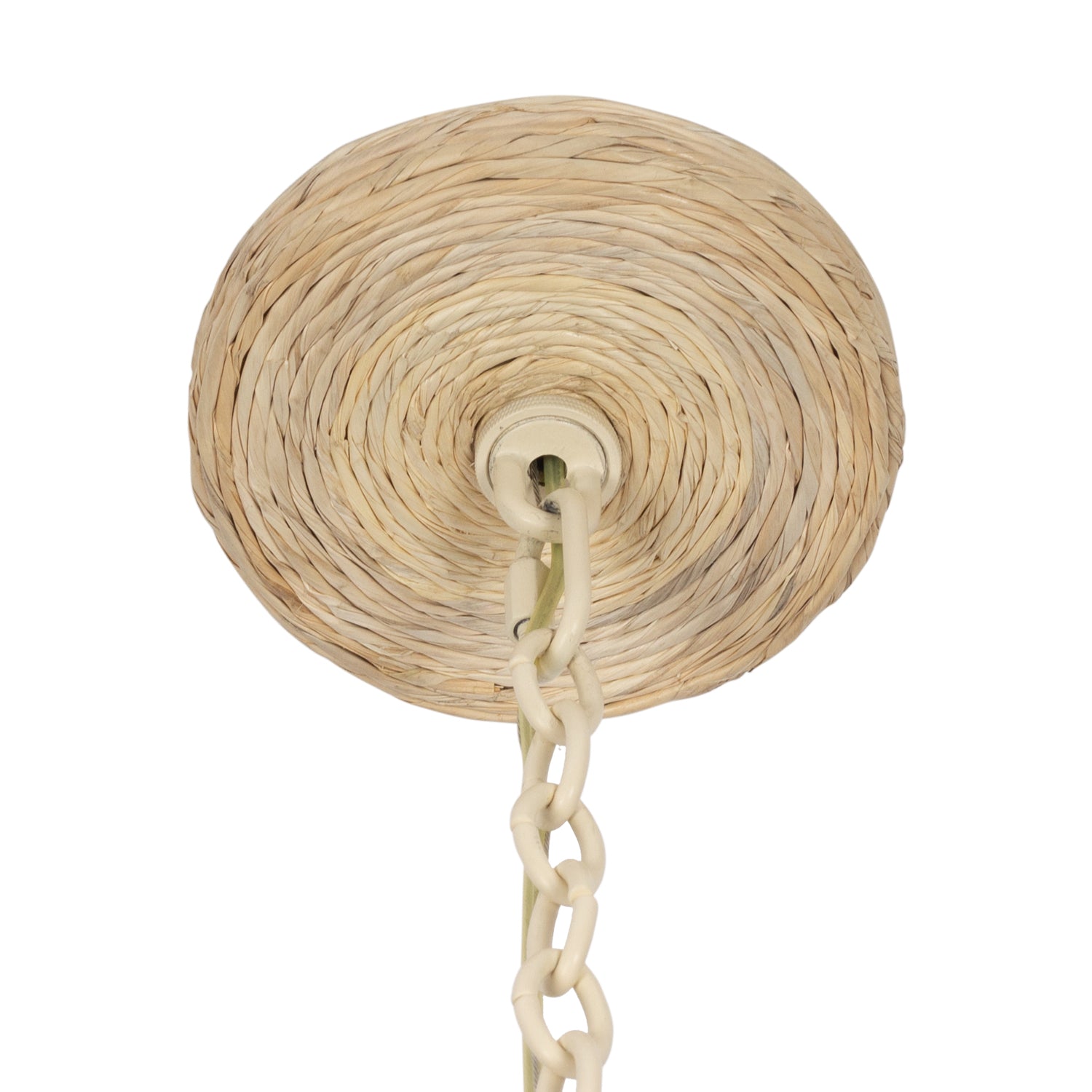 21'' Reef 8 Light Warm Ivory Chandelier