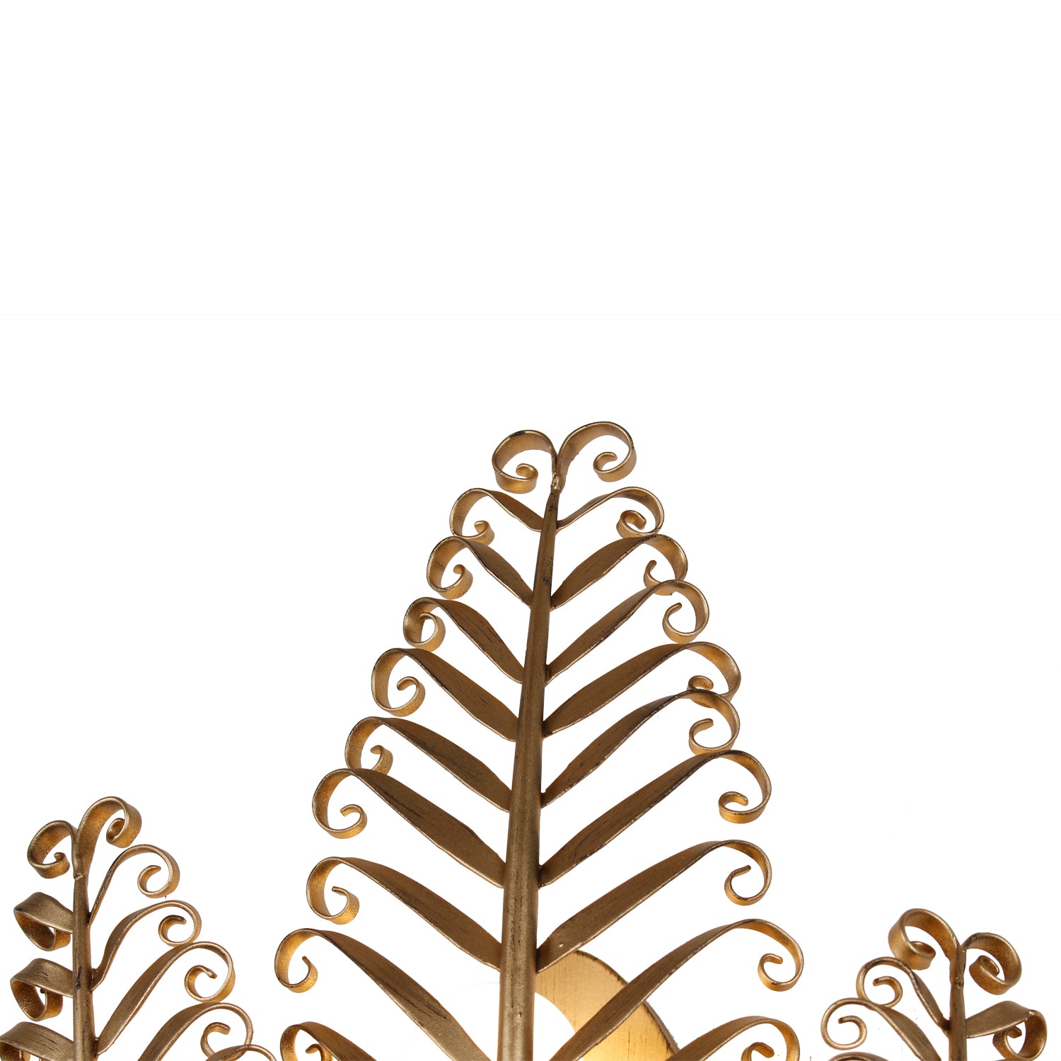 11.5'' Fern 3 Light Modern Gold Wall Sconce