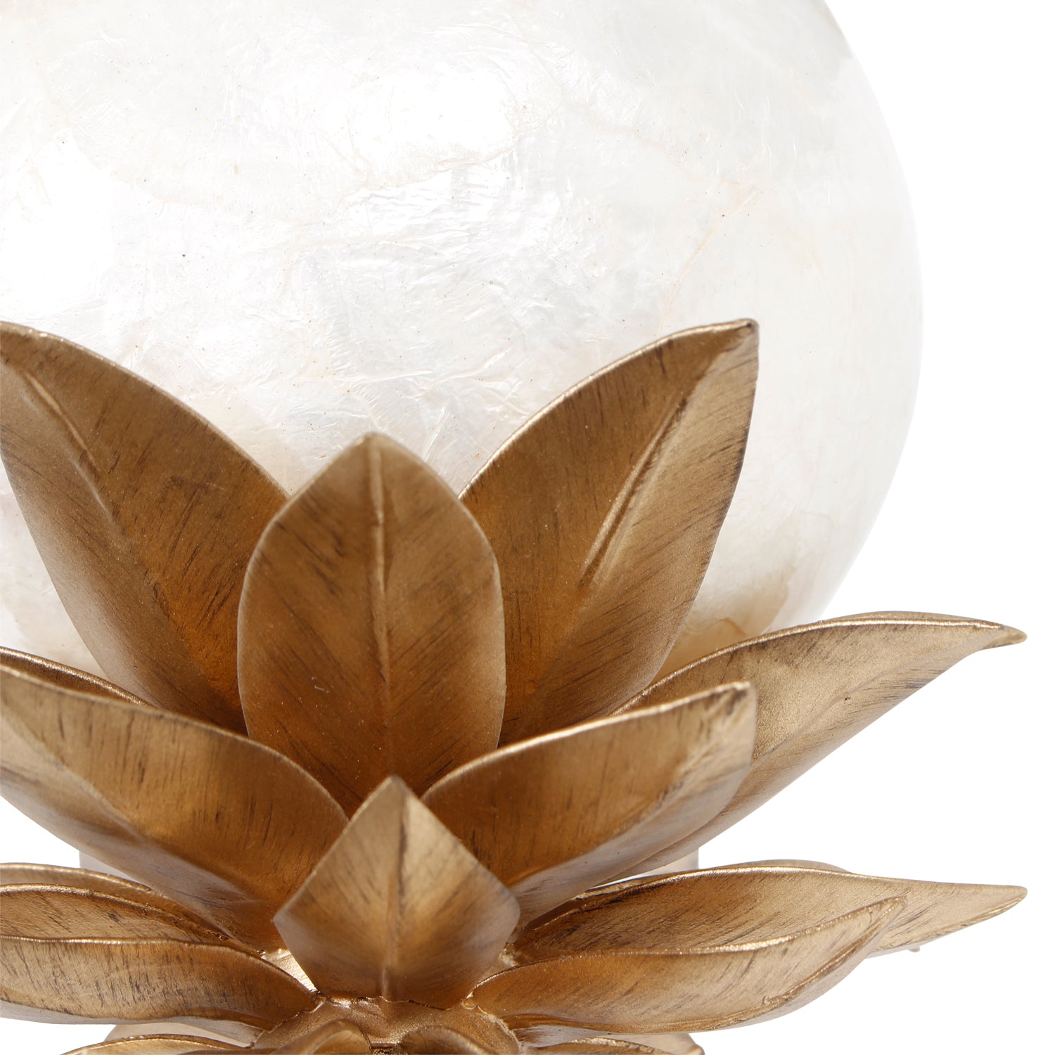 6.5'' Florette 1 Light Modern Gold Wall Sconce