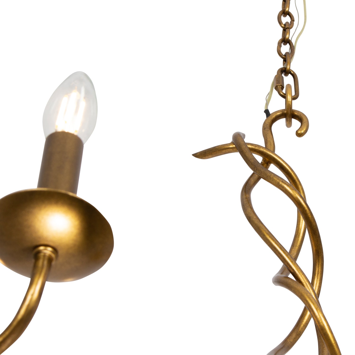 26'' Rizo 6 Light Oil Rubbed Bronze Chandelier