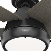 44 inch Burroughs Matte Black Ceiling Fan with LED Light Kit and Pull Chain