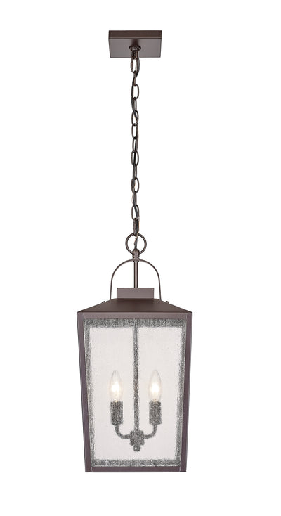 22-inch Devens Powder Coated Bronze 2-Light Outdoor Hanging Lantern with Clear Seeded Glass