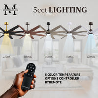 64-inch Ariella 8-Blade Ceiling Fan with LED Light