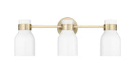 22.4'' Corella Modern Gold 3 Light Bath Vanity