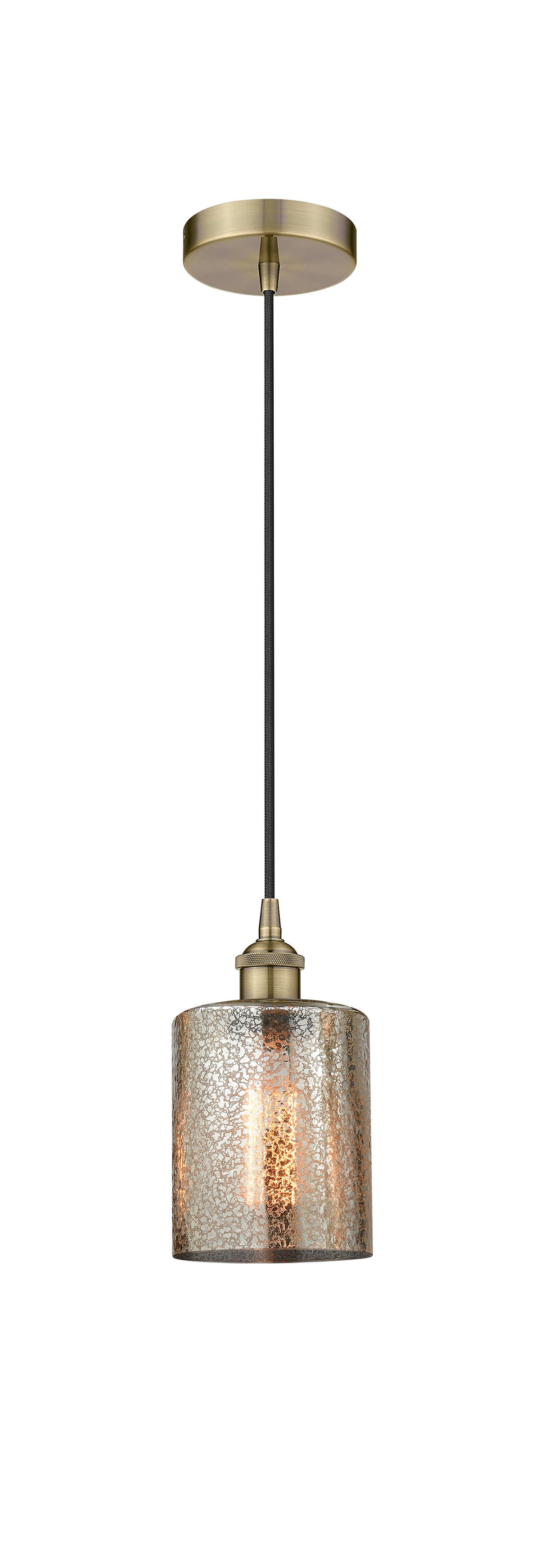 Edison Mini Pendant Antique Brass Finish