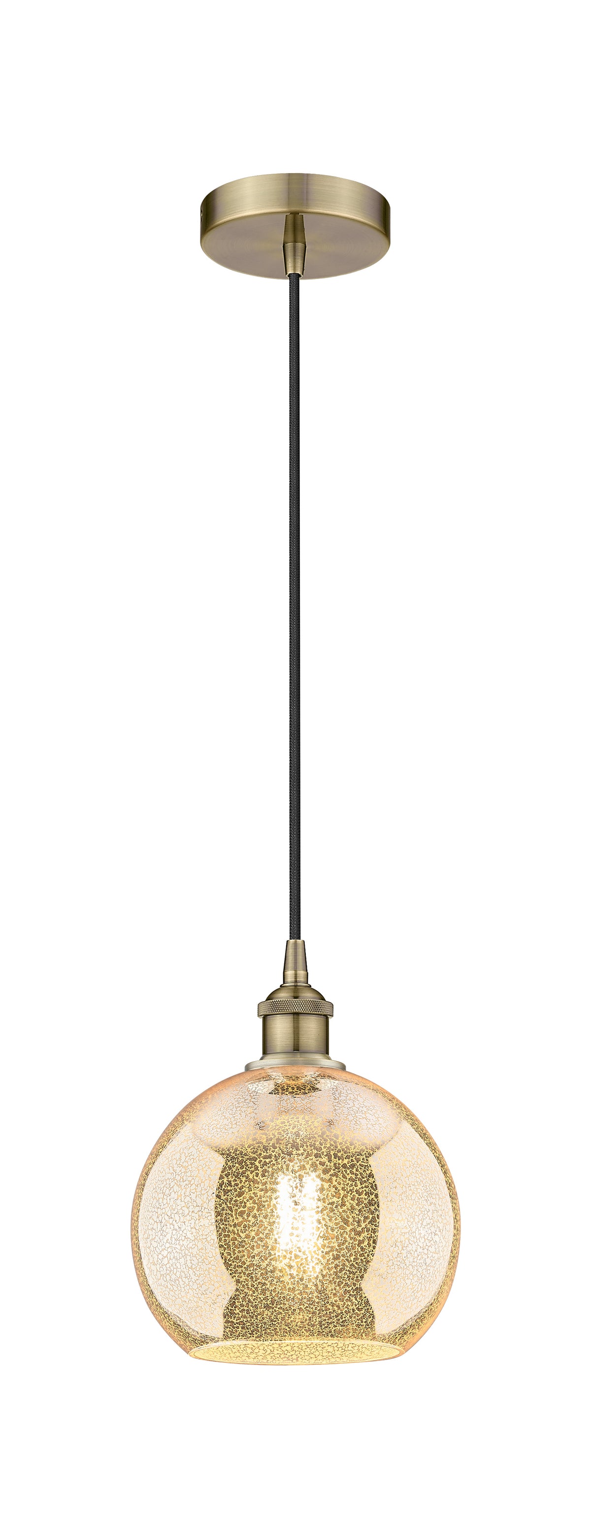 Edison Mini Pendant Antique Brass Finish