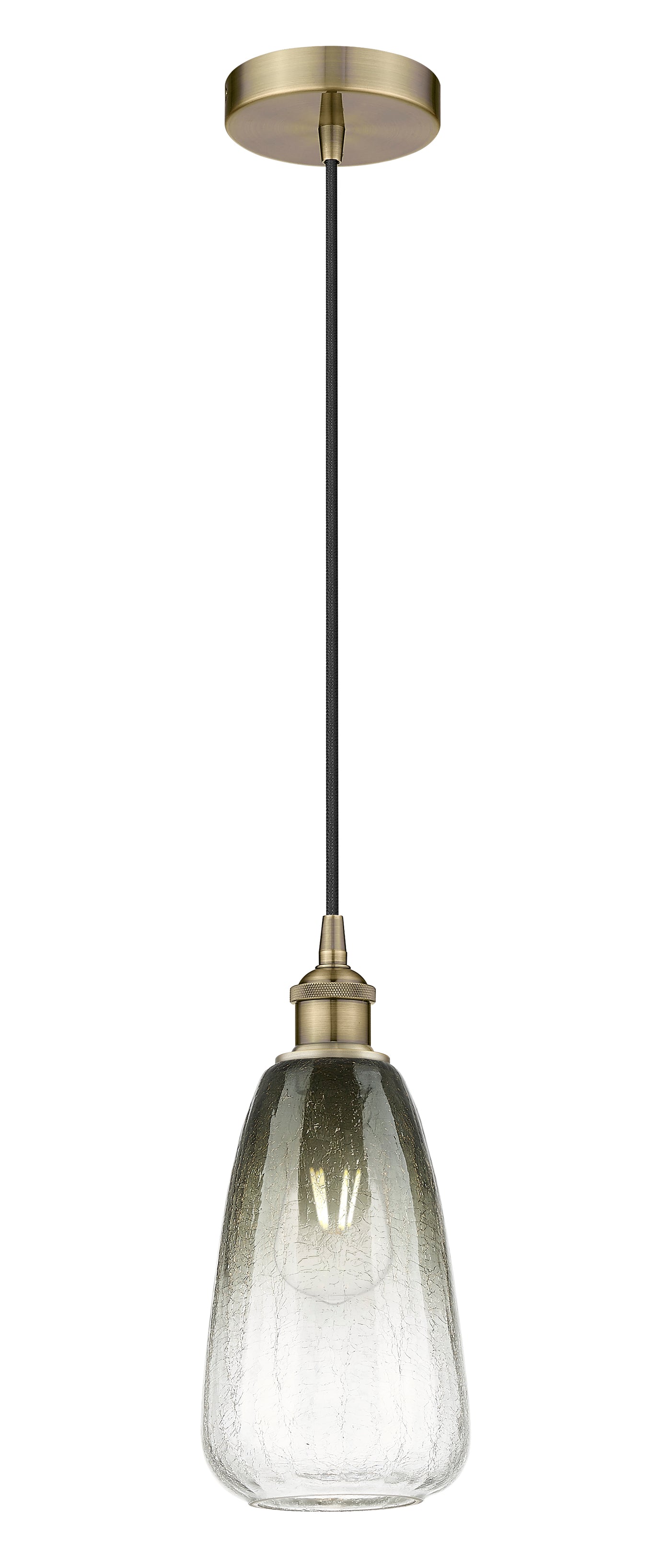 Edison Mini Pendant Antique Brass Finish