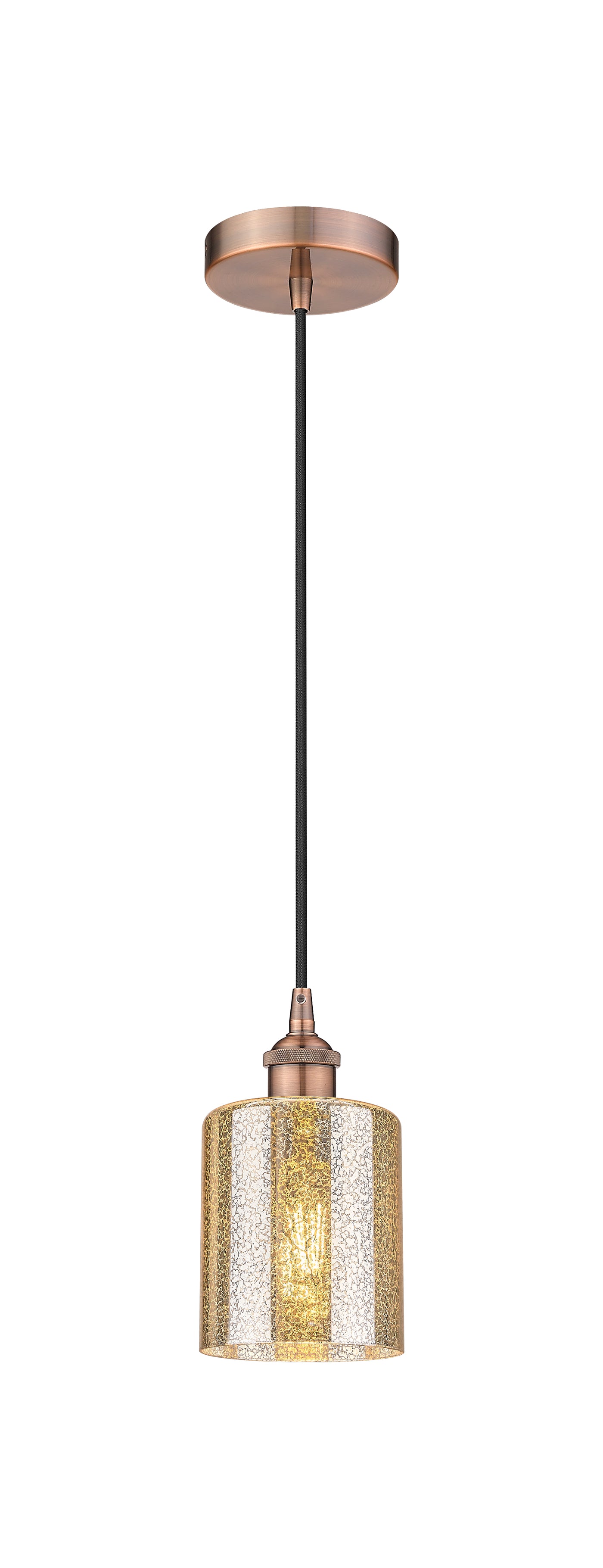 Edison Mini Pendant Antique Brass Finish