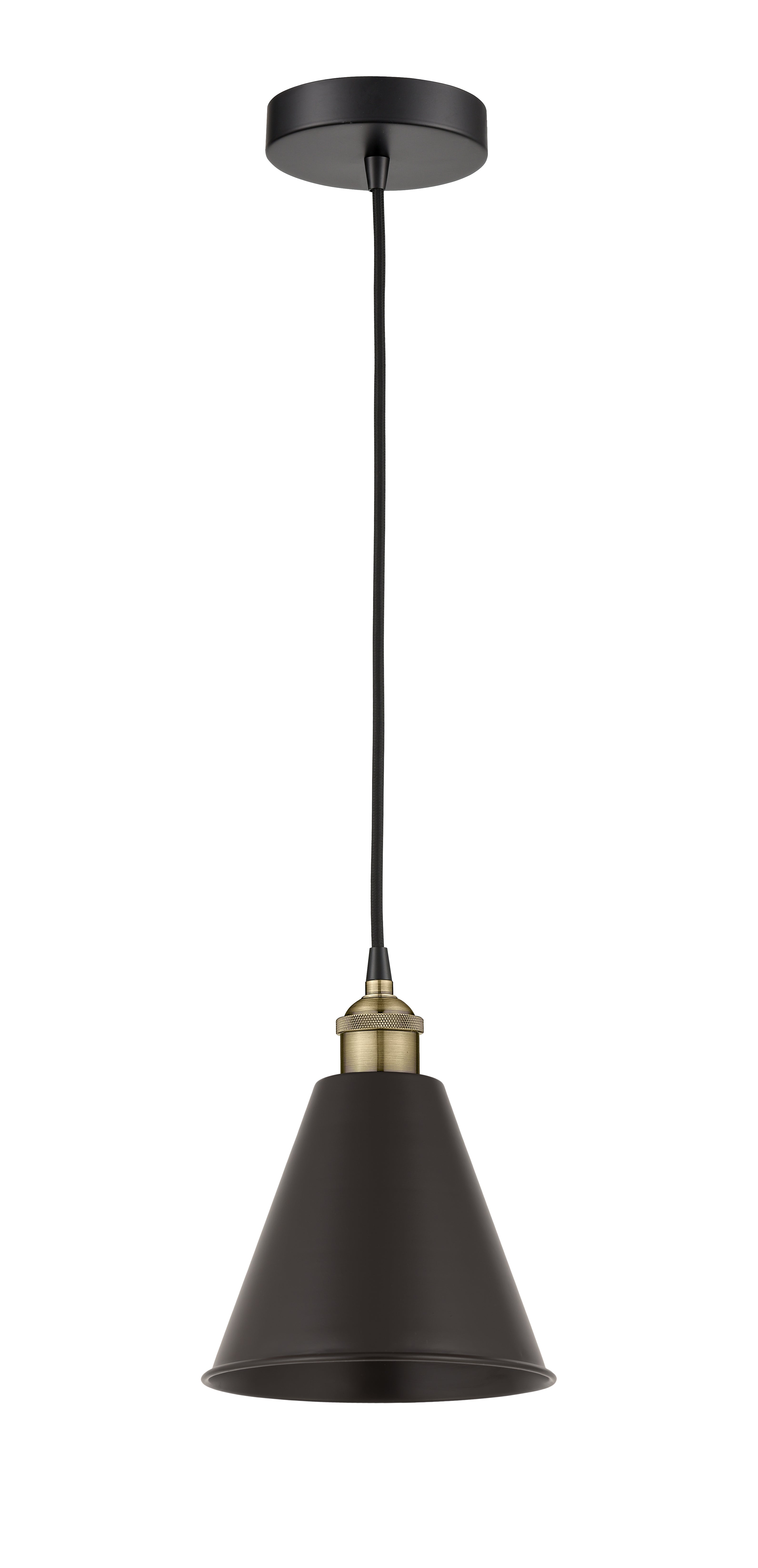 Edison Mini Pendant Antique Brass Finish