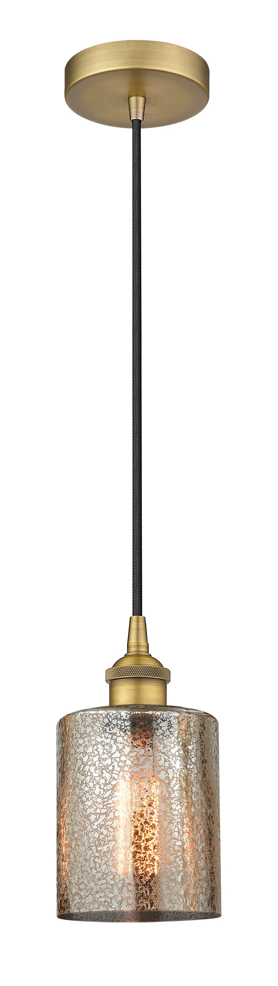 Edison Mini Pendant Antique Brass Finish
