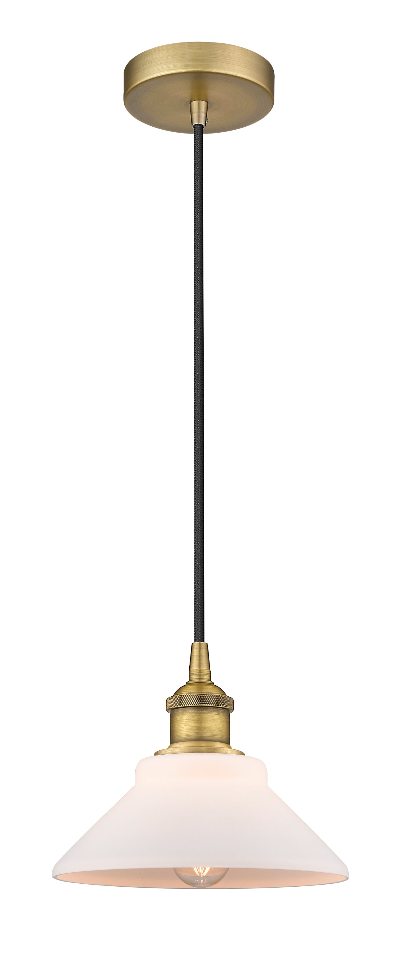 Edison Mini Pendant Antique Brass Finish