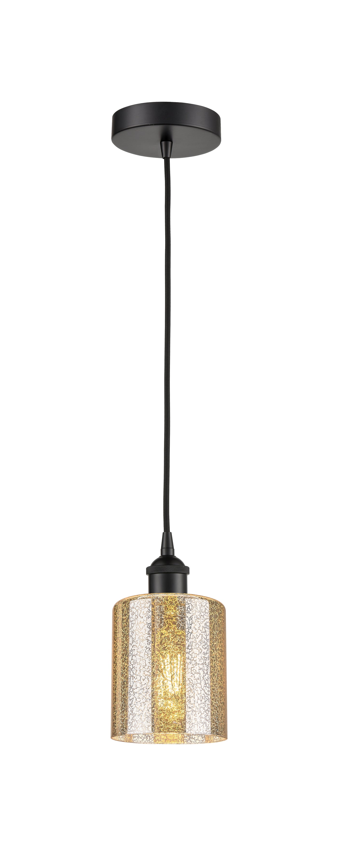 Edison Mini Pendant Antique Brass Finish