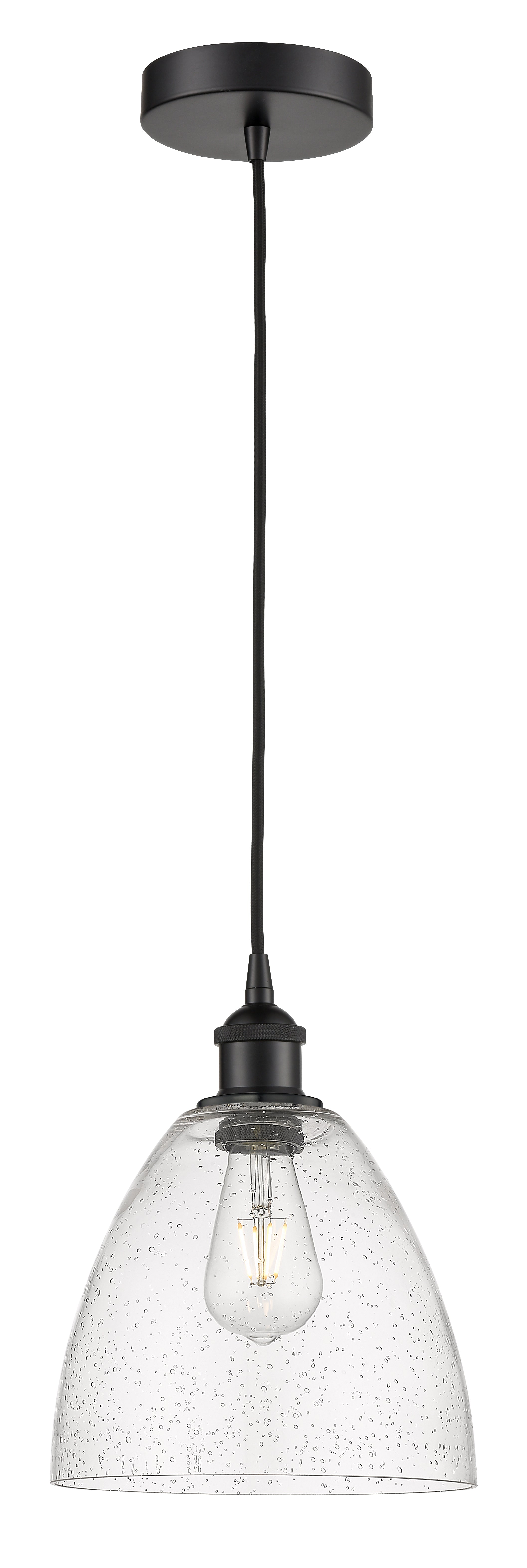Edison Mini Pendant Antique Brass Finish