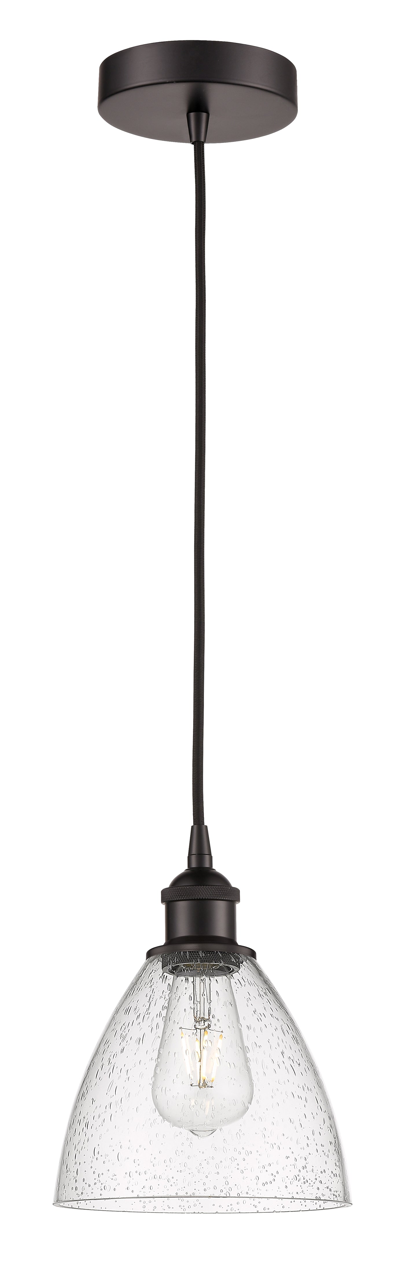 Edison Mini Pendant Antique Brass Finish