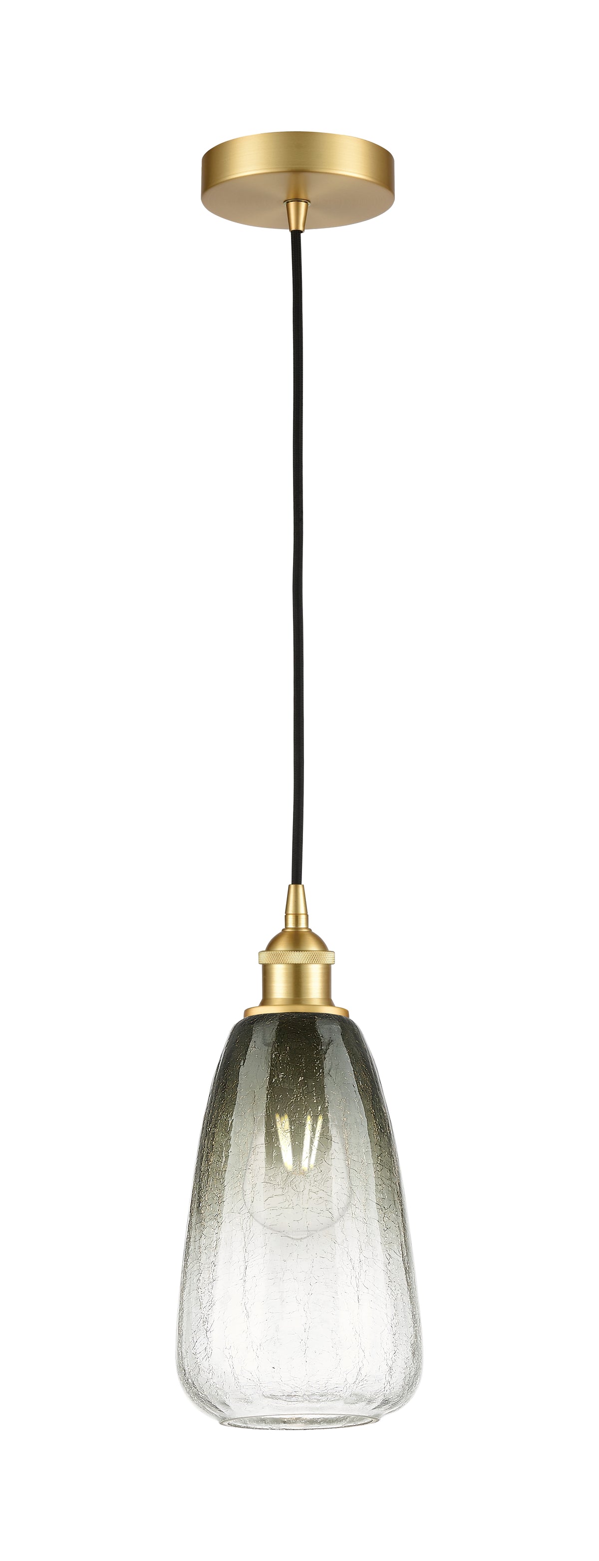 Edison Mini Pendant Antique Brass Finish