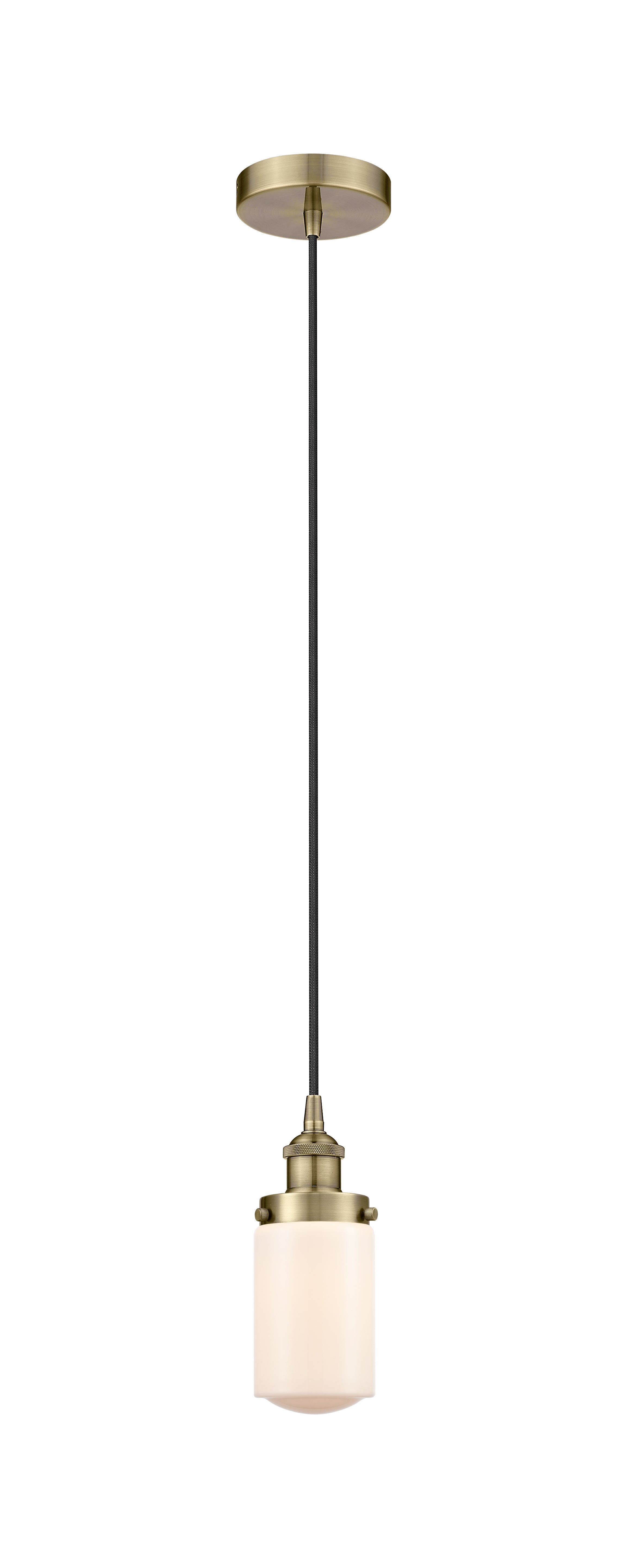Edison Mini Pendant Antique Brass Finish