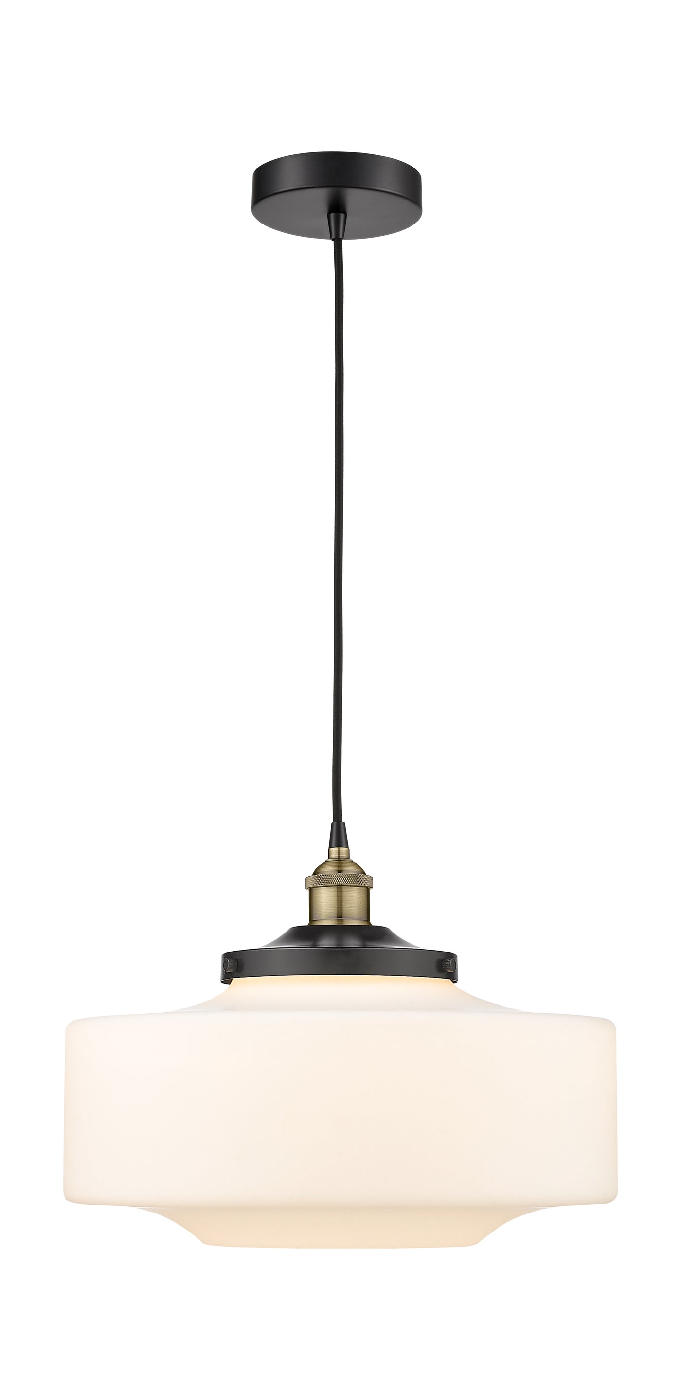 Edison Mini Pendant Antique Brass Finish