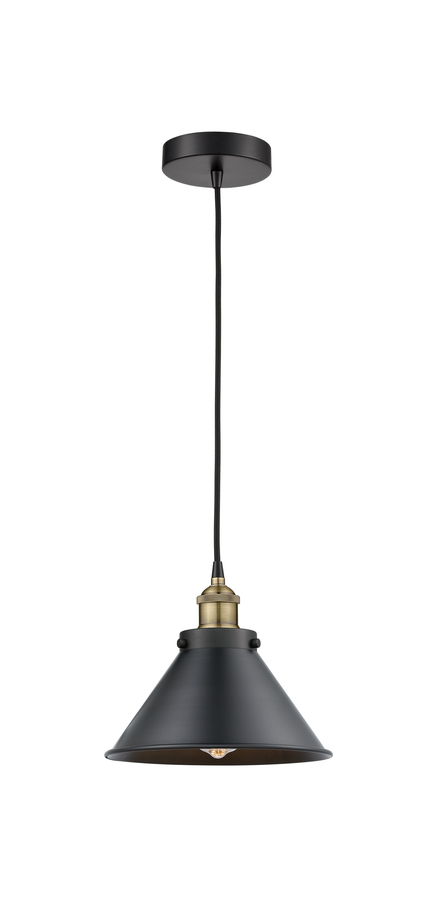 Edison Mini Pendant Antique Brass Cast Brass