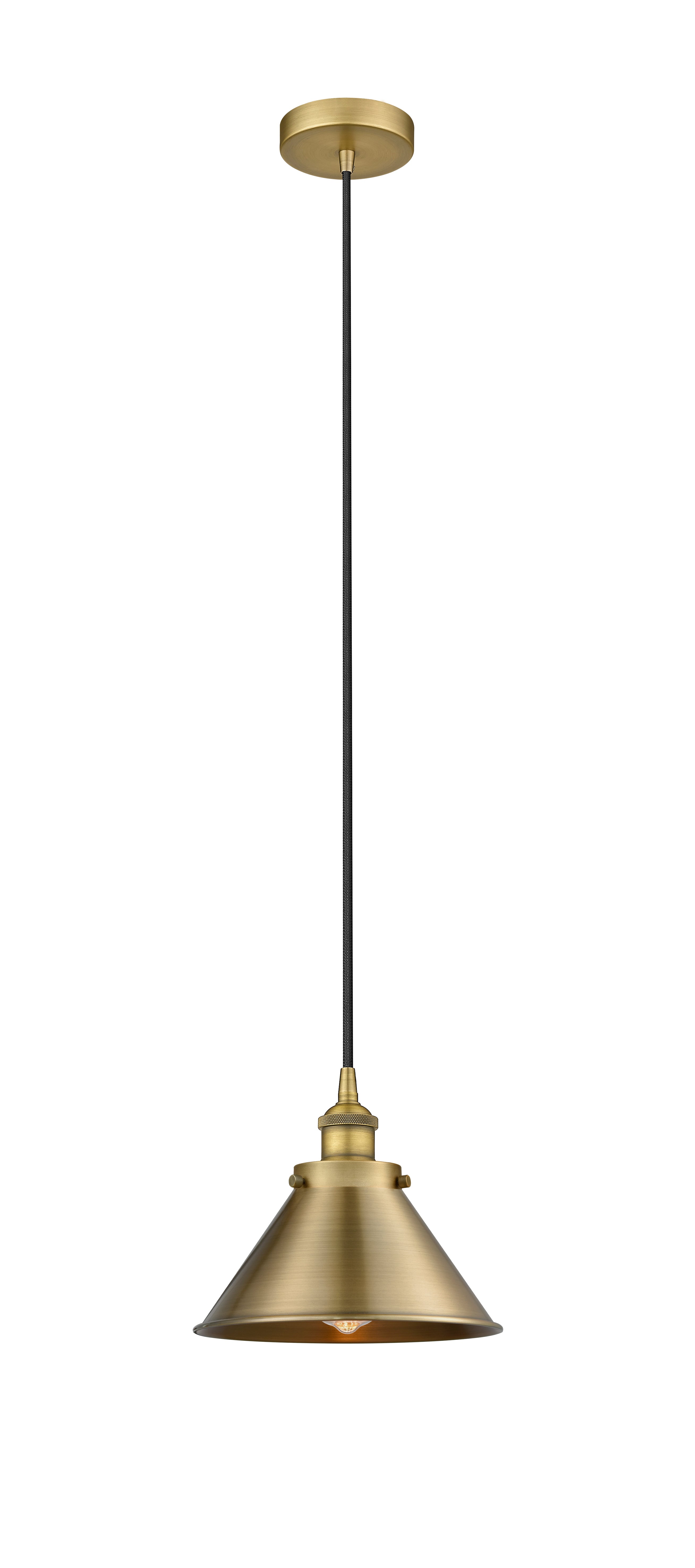 Edison Mini Pendant Antique Brass Cast Brass