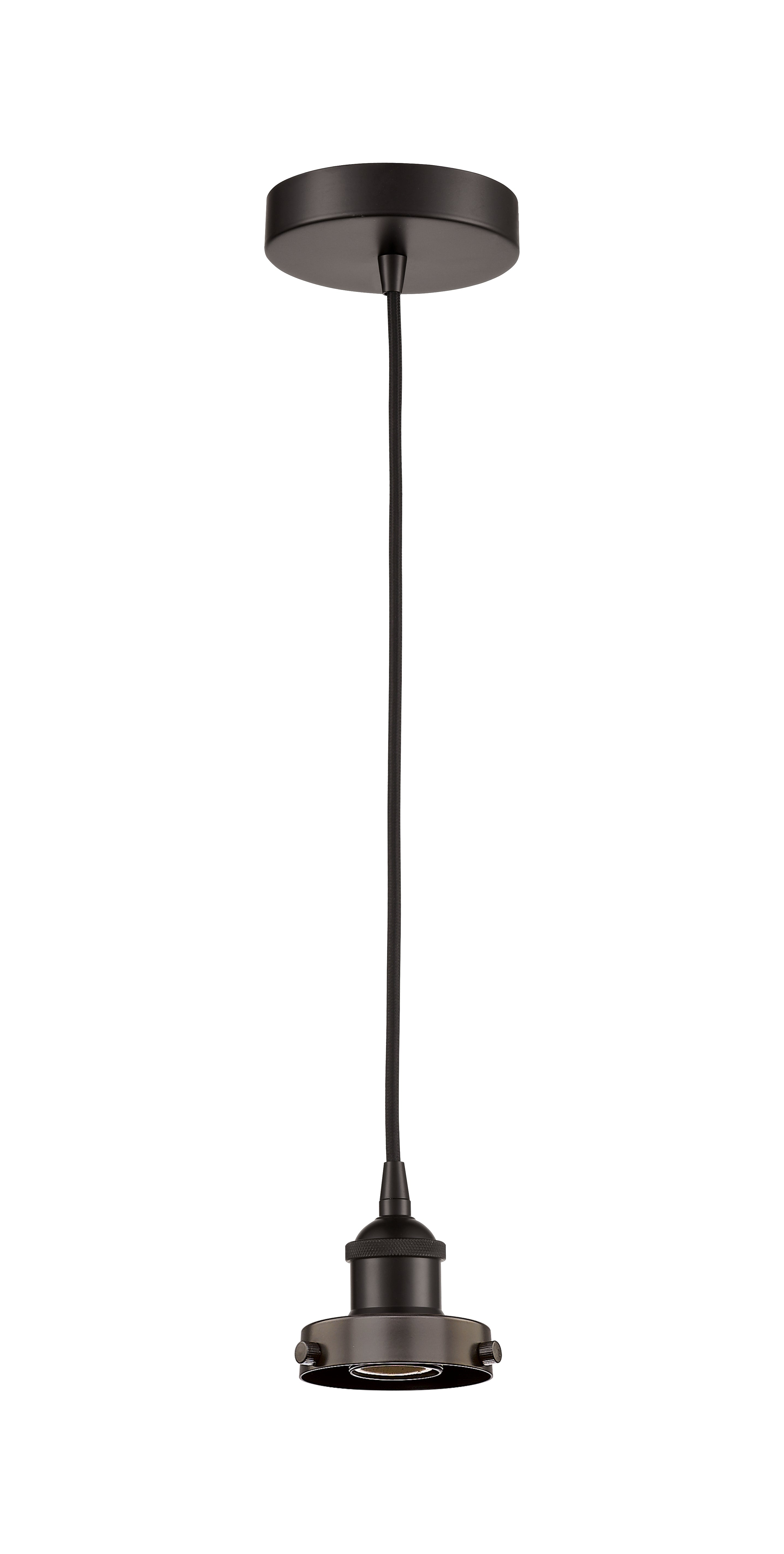 Edison Mini Pendant Antique Brass Finish