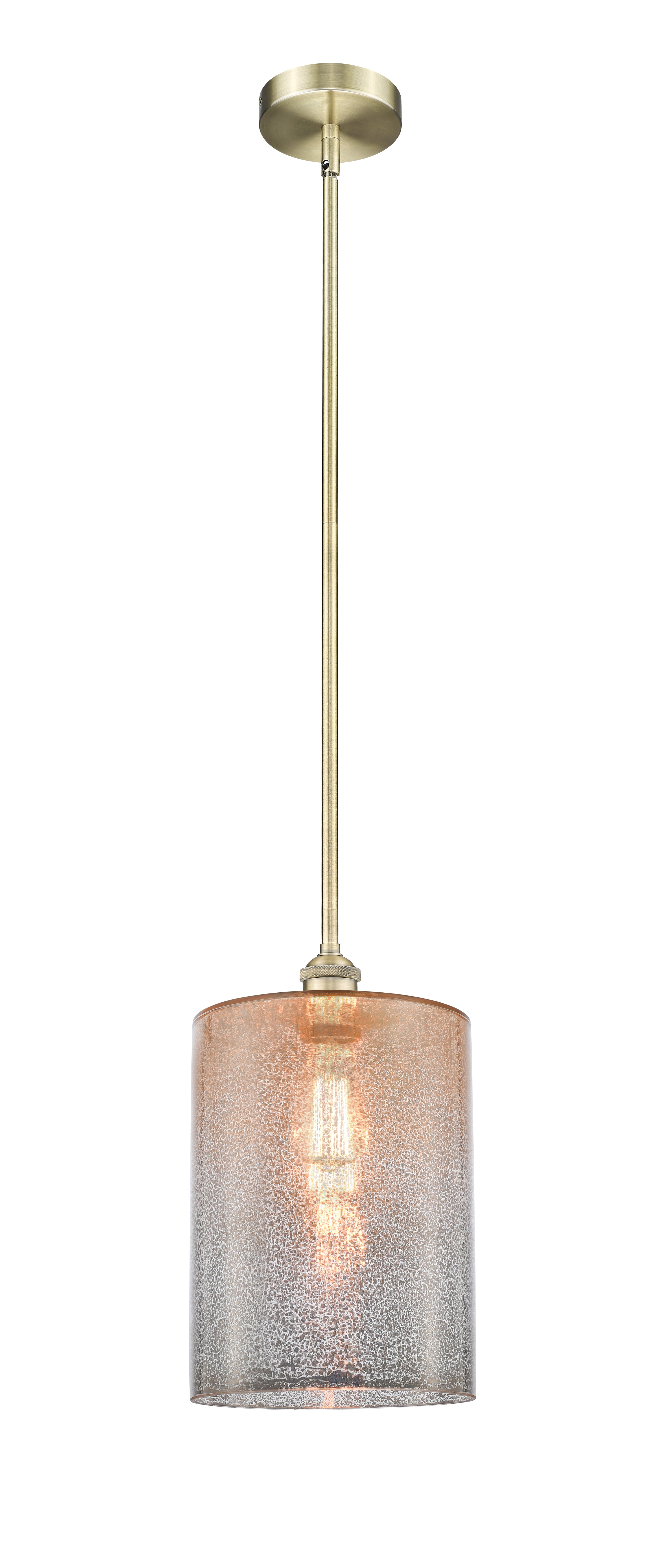 Edison Mini Pendant Antique Brass Finish