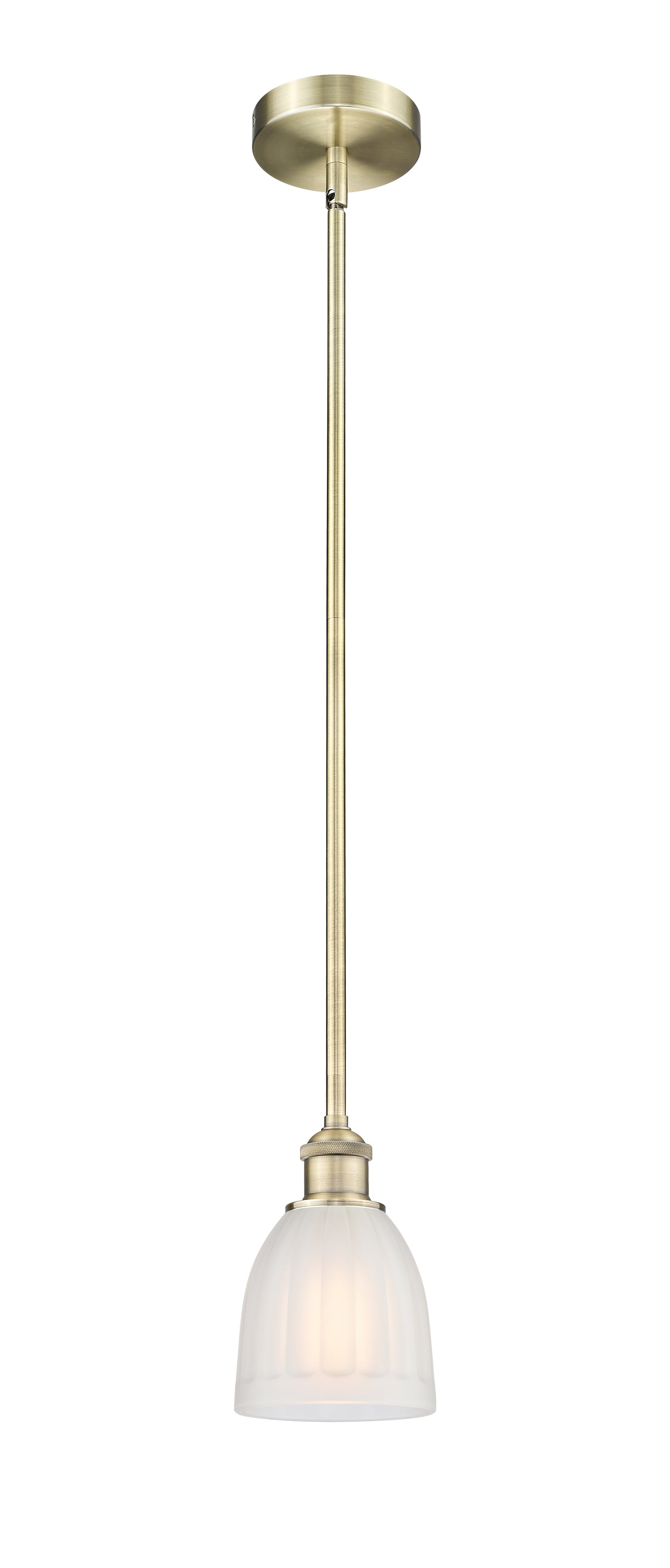 Edison Mini Pendant Antique Brass Finish