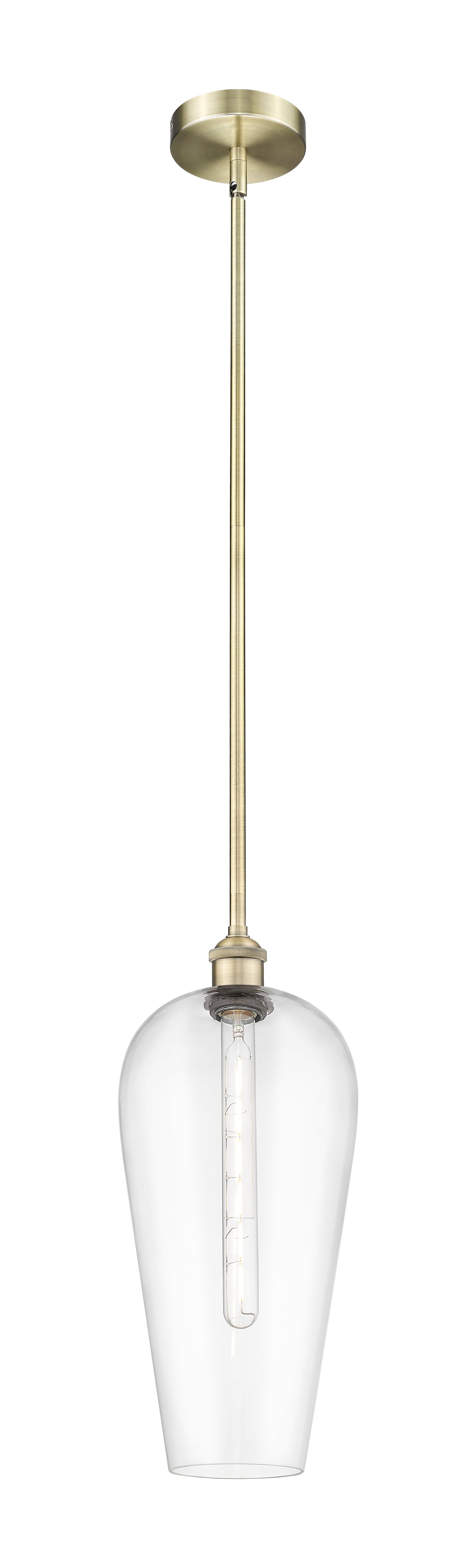 Edison Mini Pendant Antique Brass Finish