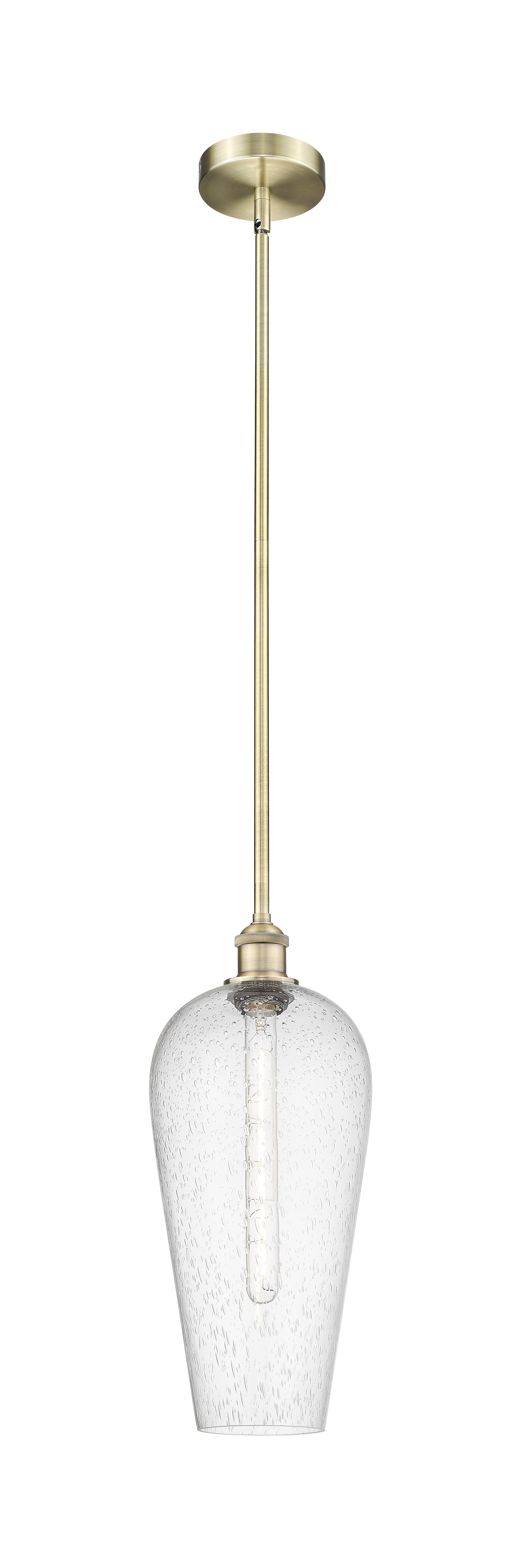 Edison Mini Pendant Antique Brass Finish