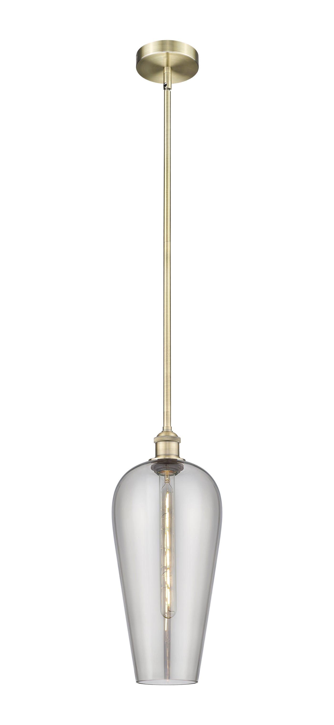 Edison Mini Pendant Antique Brass Finish