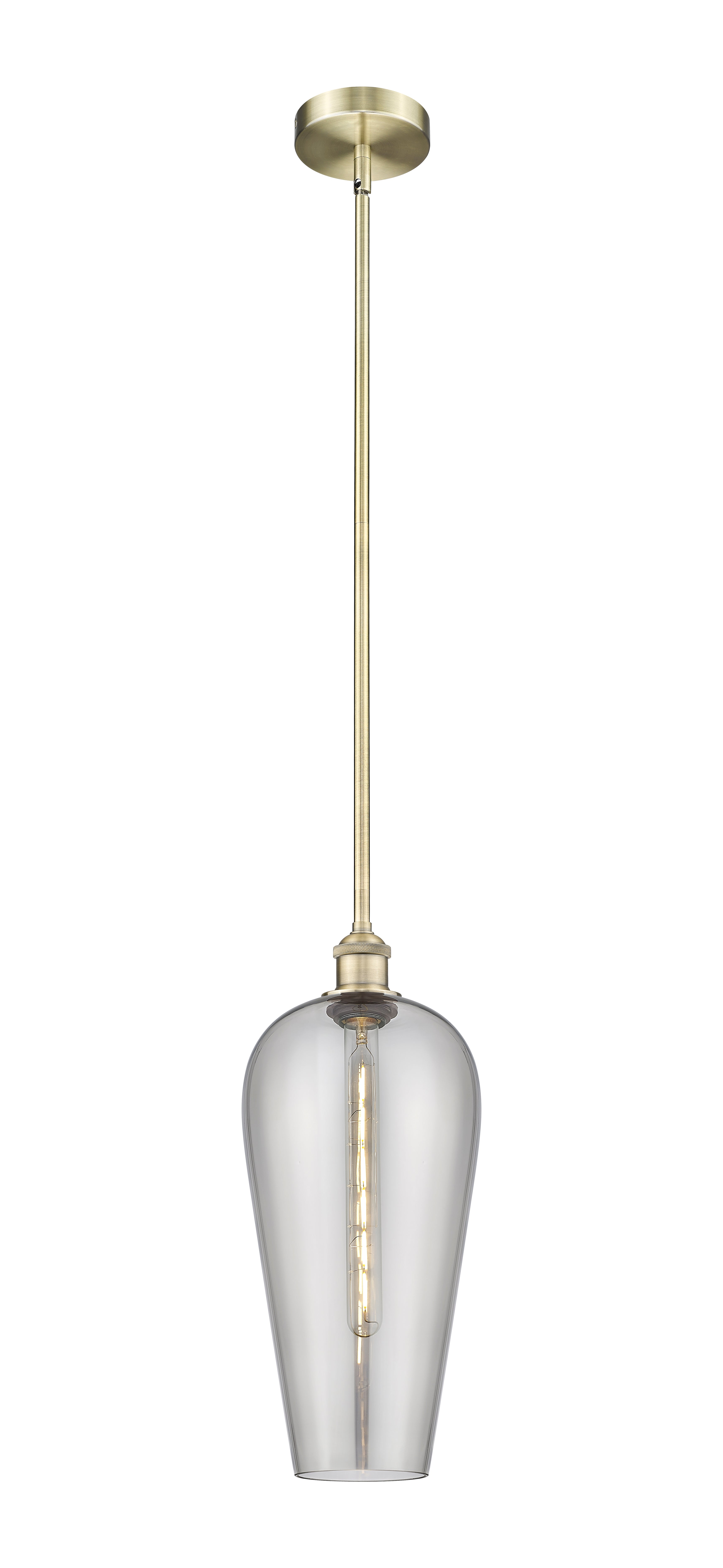 Edison Mini Pendant Antique Brass Finish