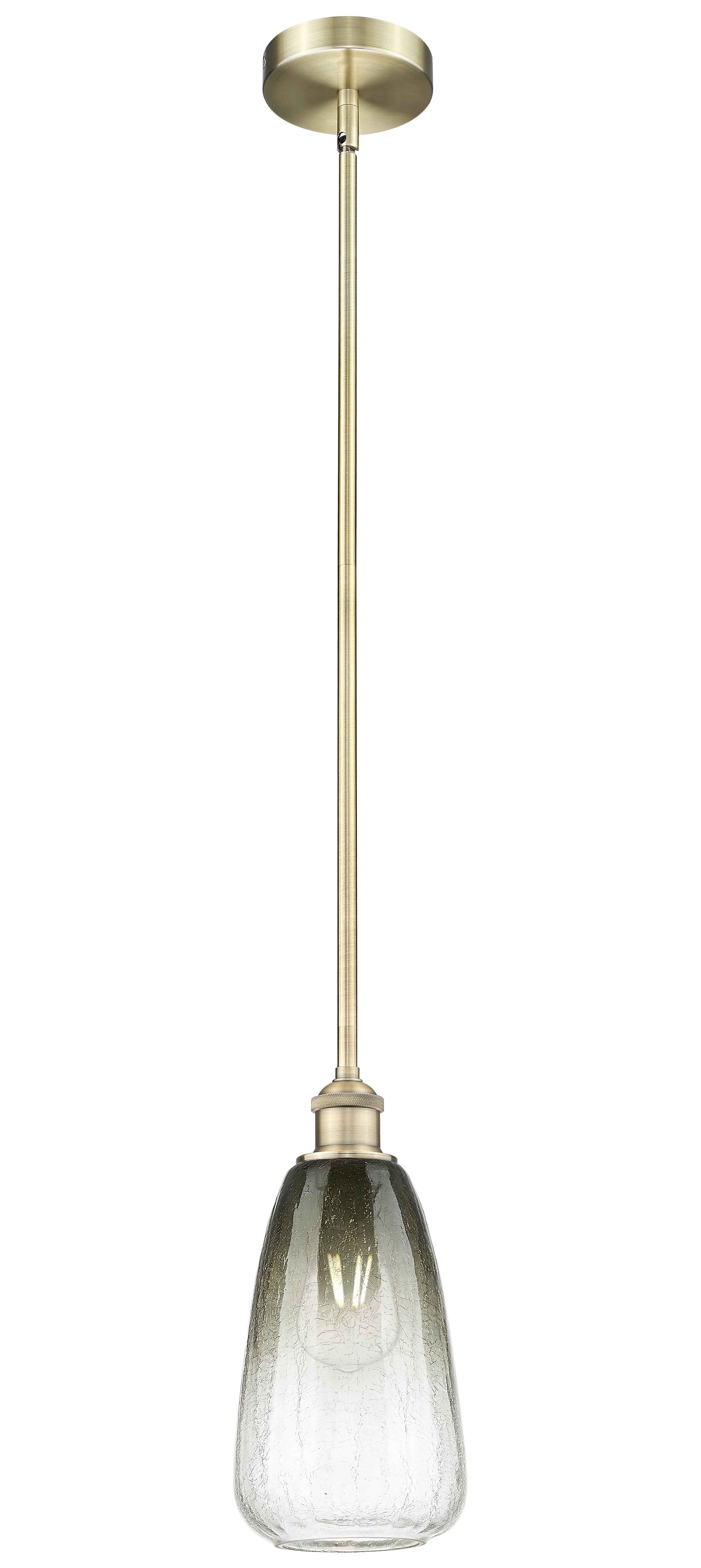 Edison Mini Pendant Antique Brass 6 Inch