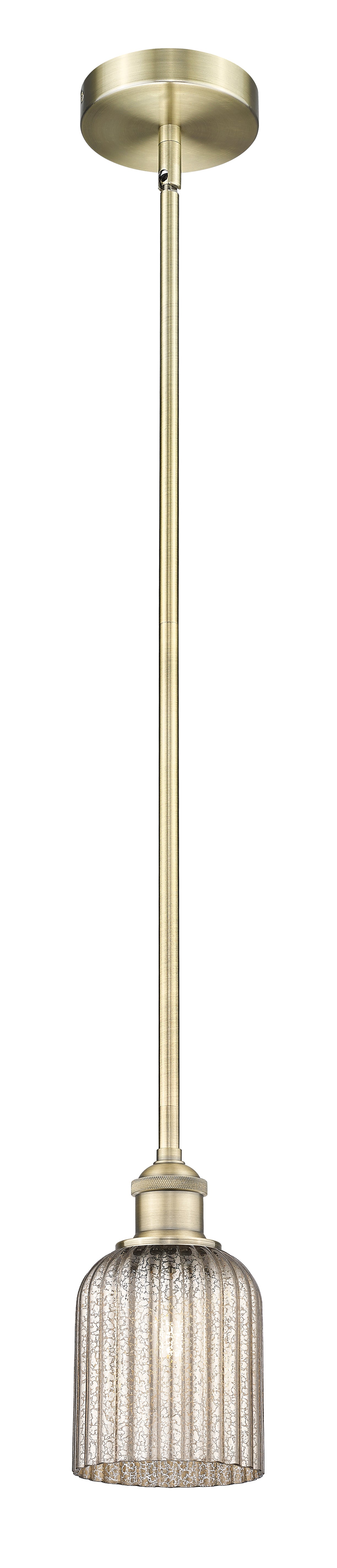 Edison Mini Pendant Antique Brass Finish