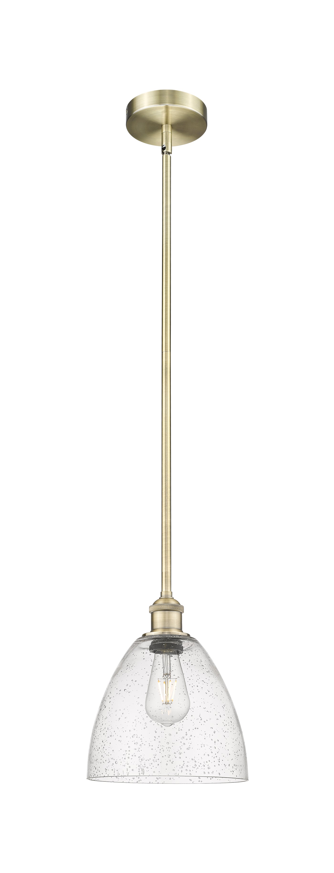 Edison Mini Pendant Antique Brass Finish