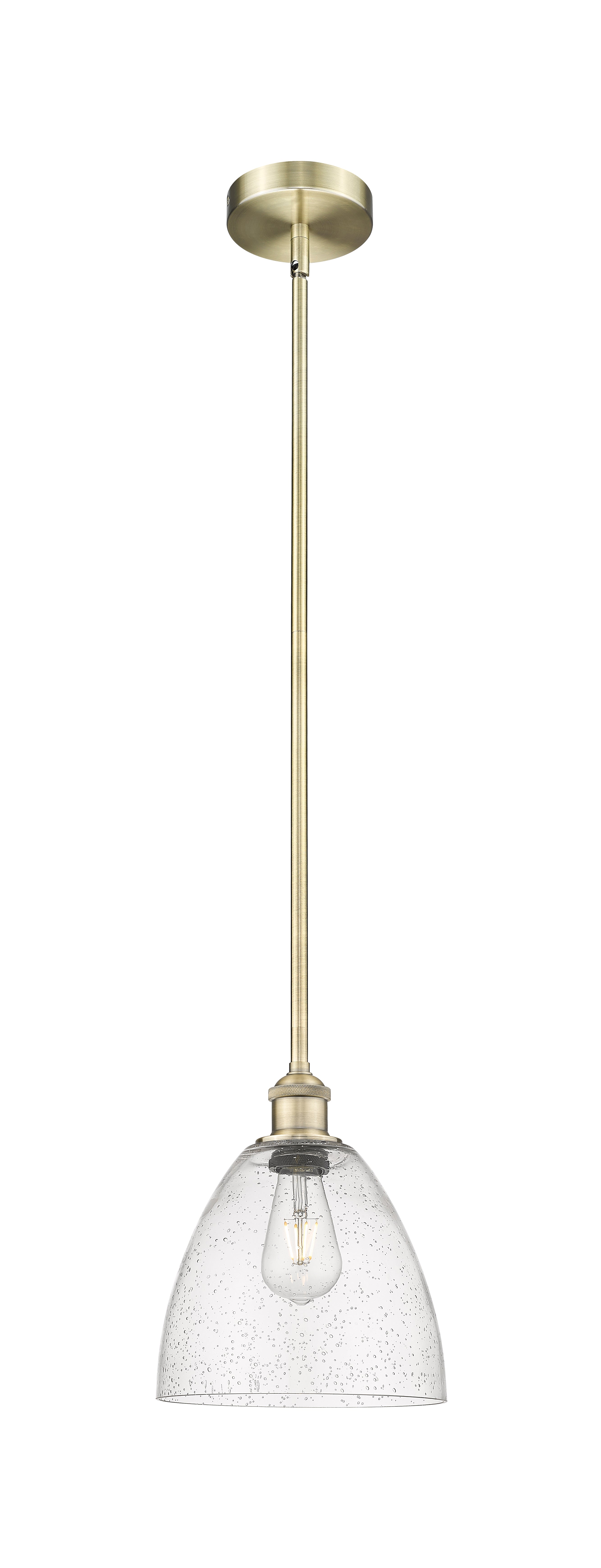 Edison Mini Pendant Antique Brass Finish