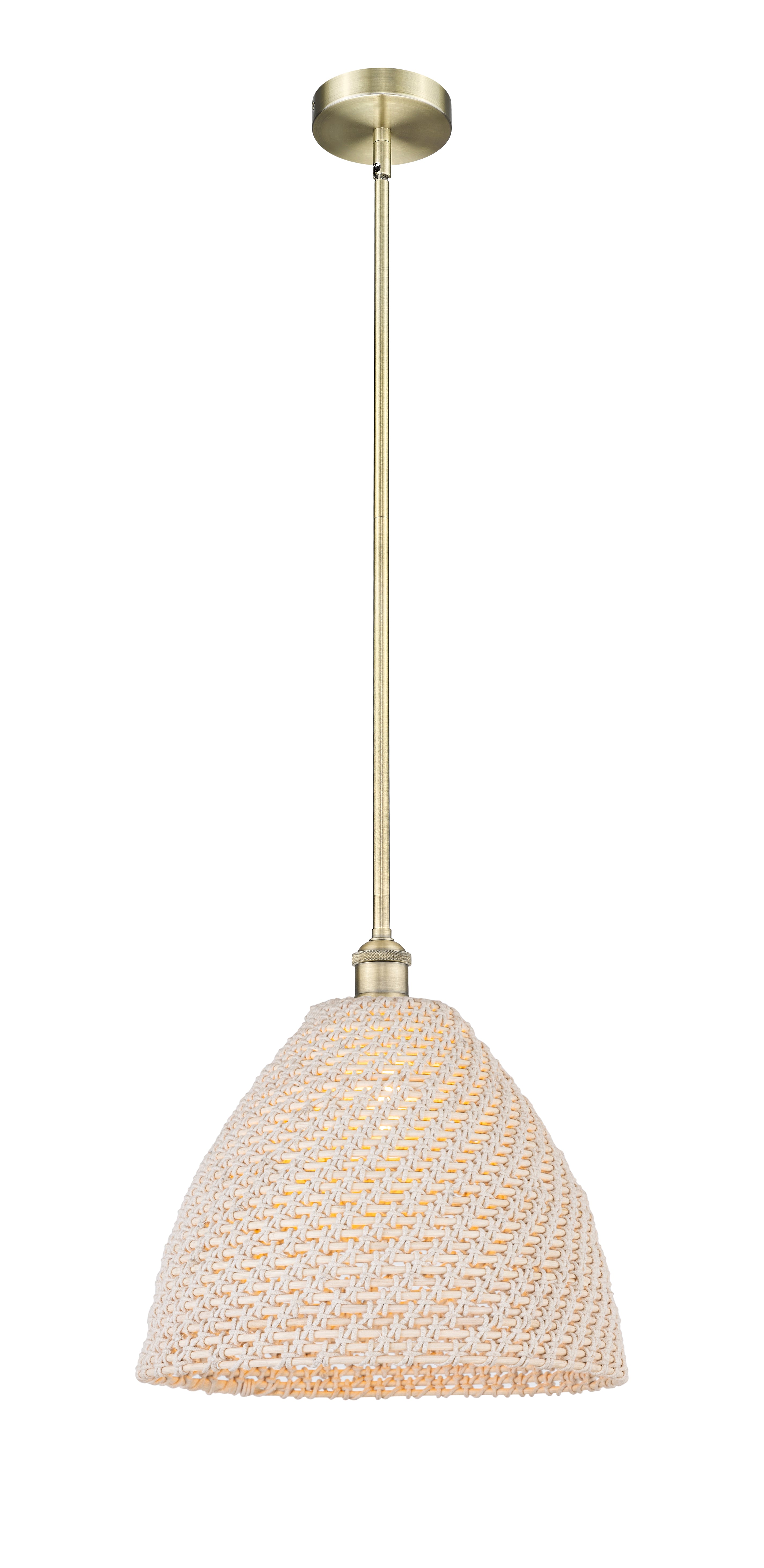 Edison Mini Pendant Antique Brass Finish