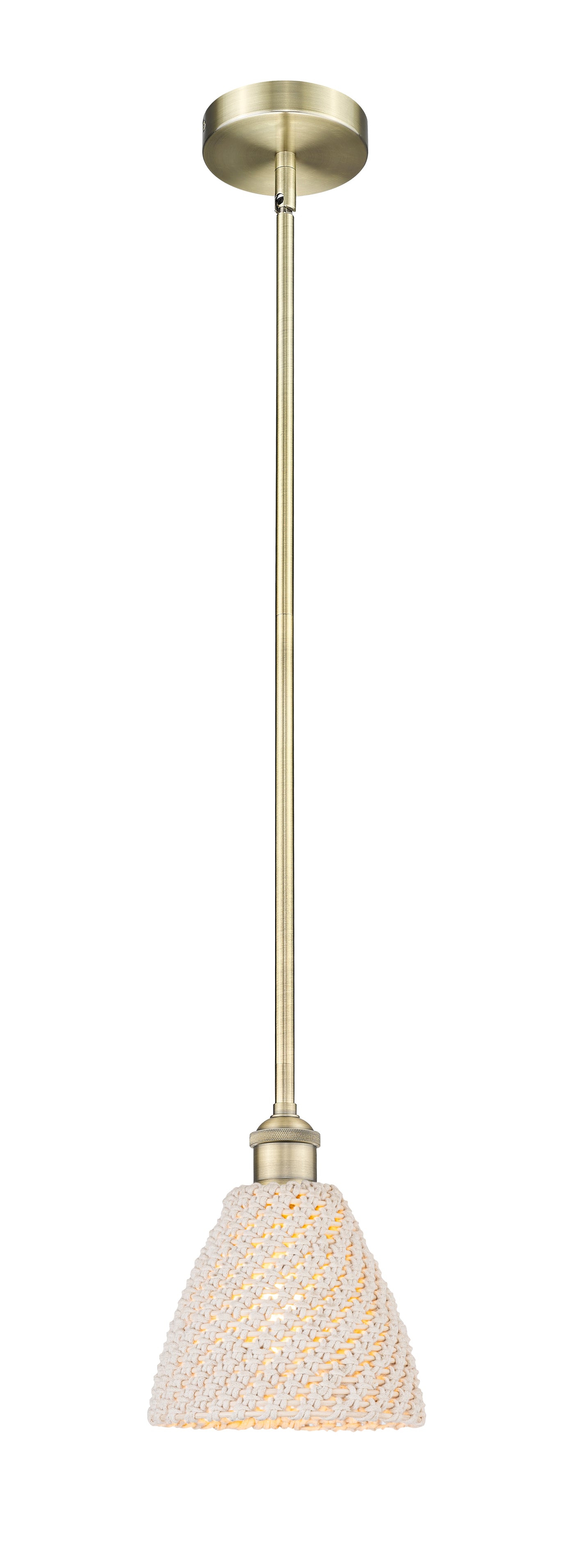 Edison Mini Pendant Antique Brass Finish