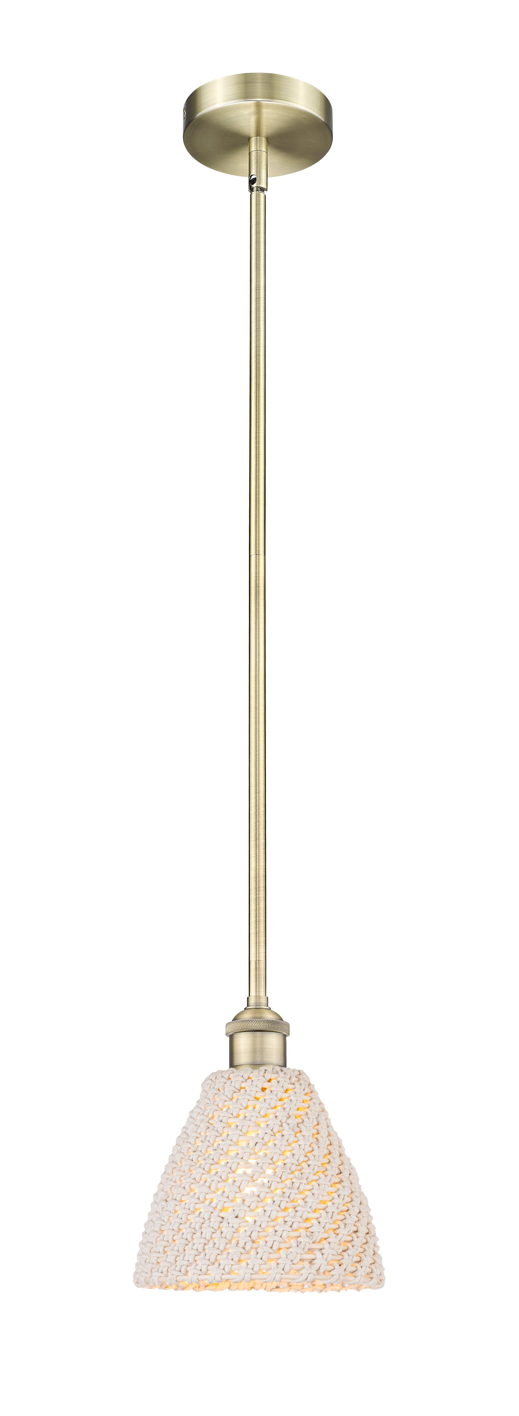 Edison Mini Pendant Antique Brass Finish