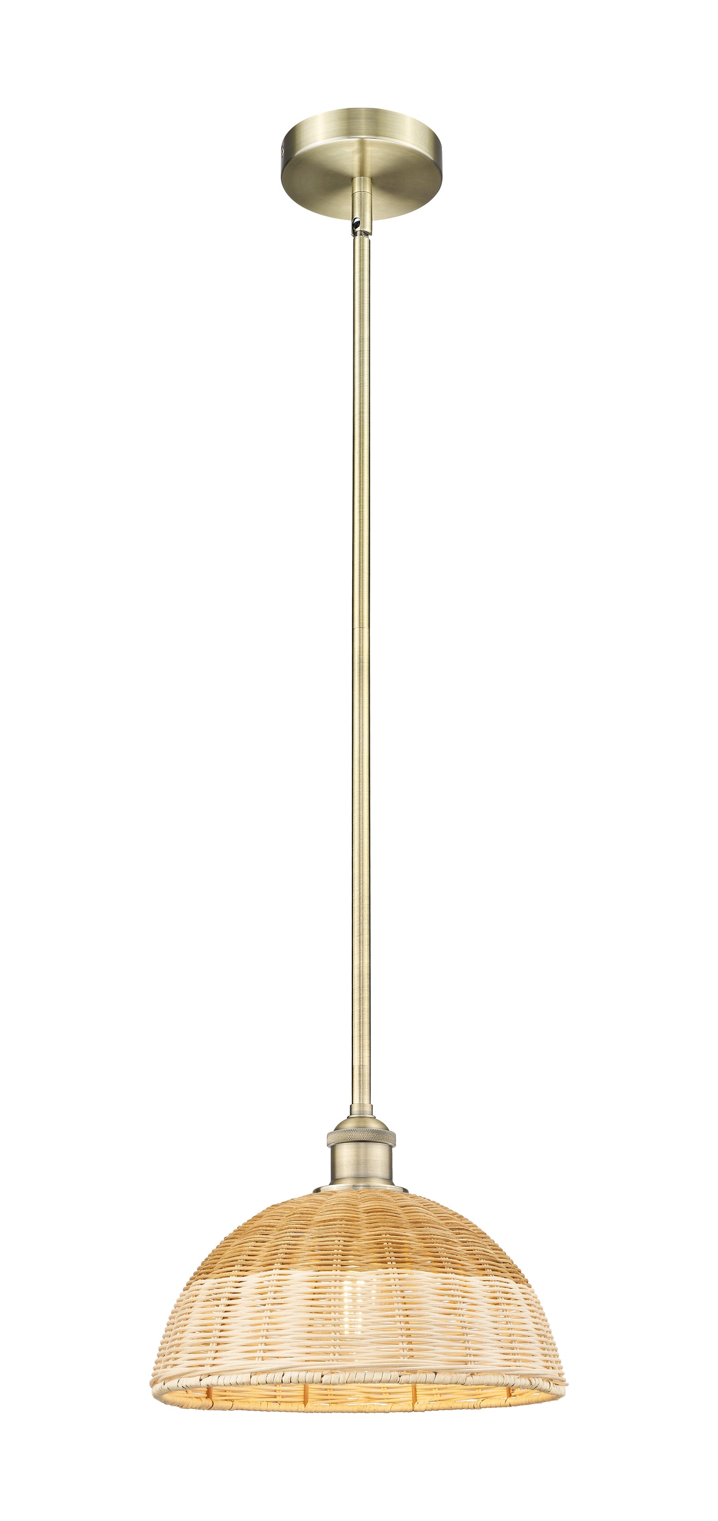 Edison Mini Pendant Antique Brass Finish